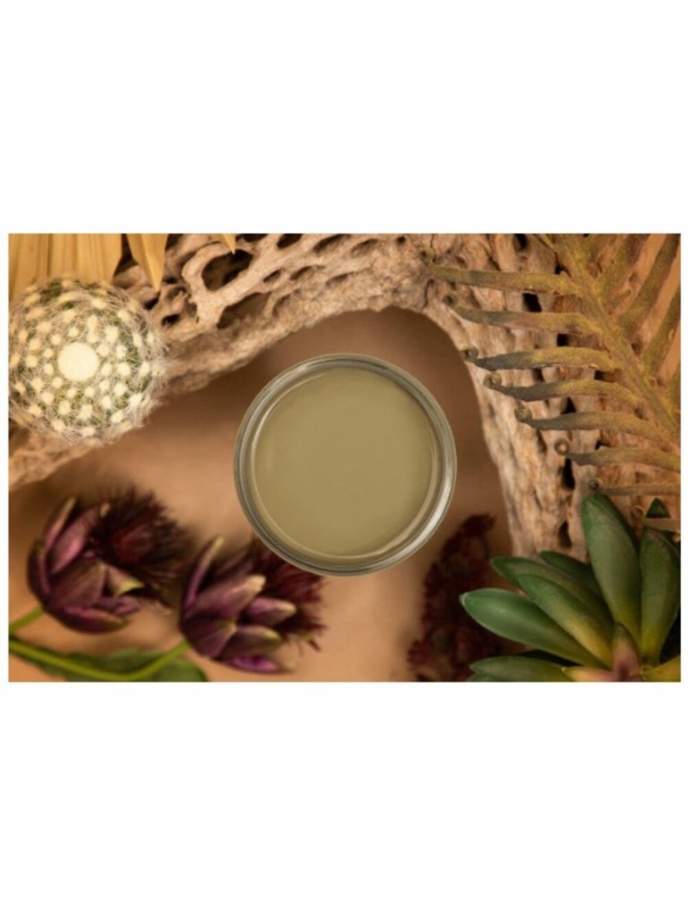 New Sealed Cactus Dixie Belle Silk All-in-One Mineral Paint 16oz